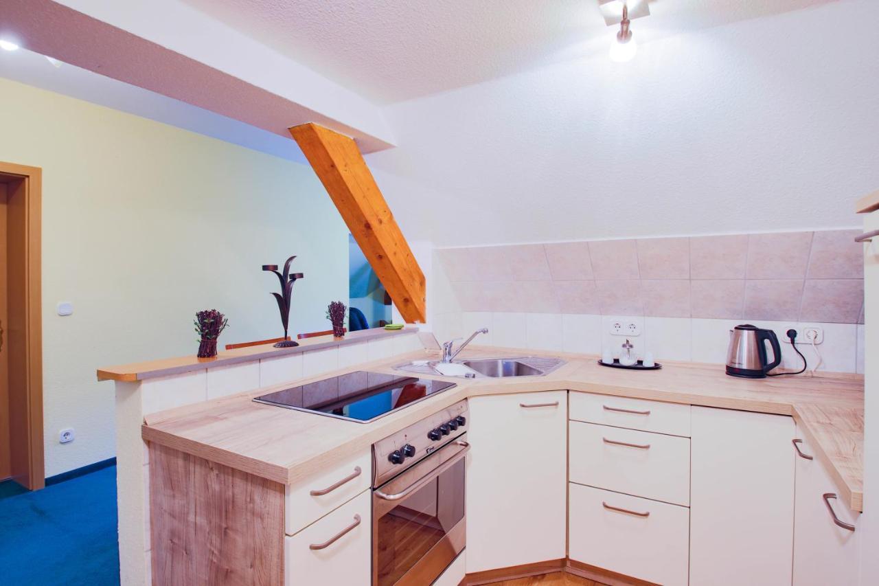 Ferien Hotel Villa Suedharz Sulzhayn Bagian luar foto